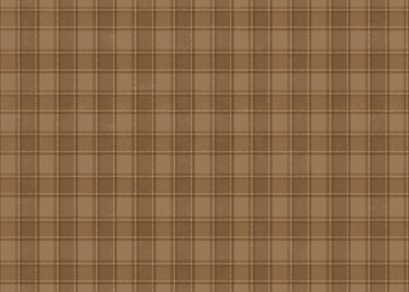 Phat Plaid Mural - Muir Cafe - Sample