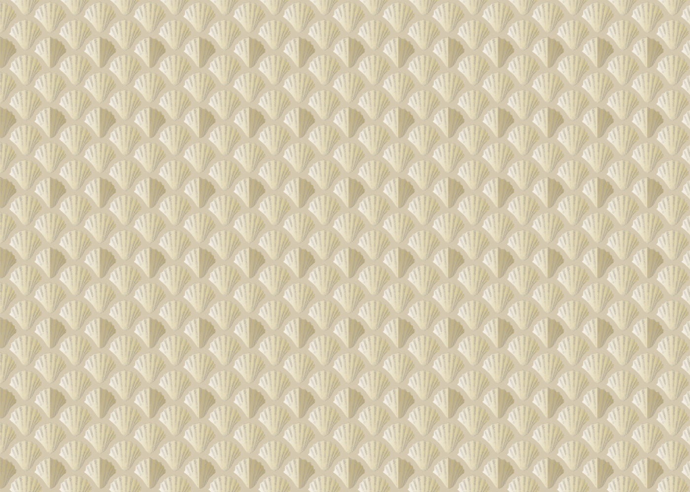 Shells - Sand - Sample