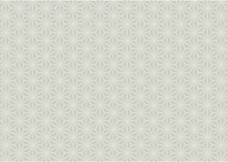 Japanese Hexagons 2 - Cloister Gray - Sample