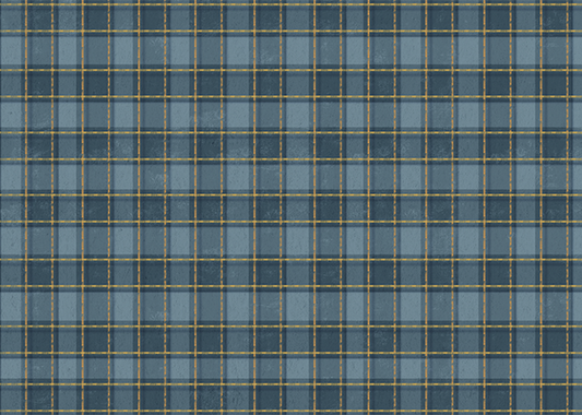 Phat Plaid 001 (blue with yellow lines)