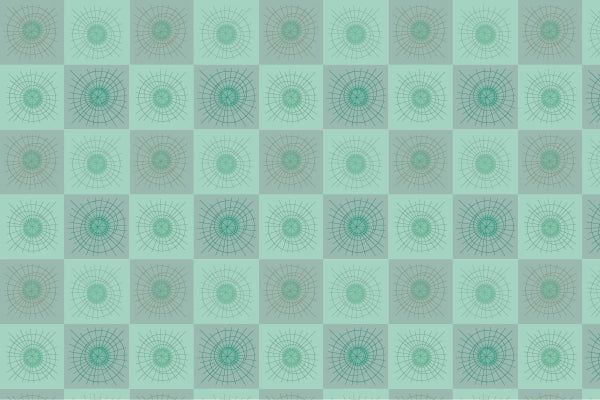 Rays & Circles B - Aqua Gray Checks - Sample
