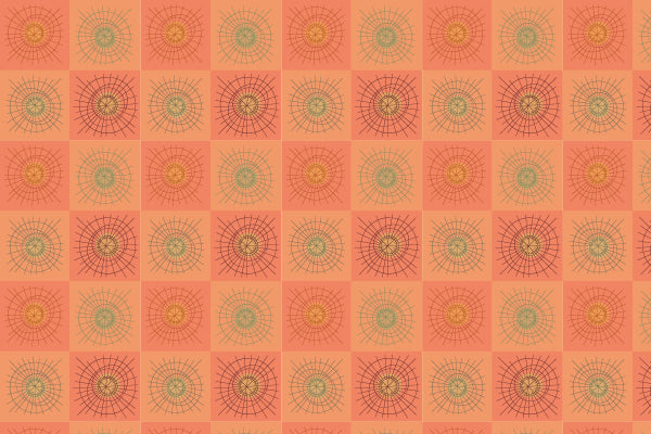 Rays & Circles D - Madras Checks - Sample