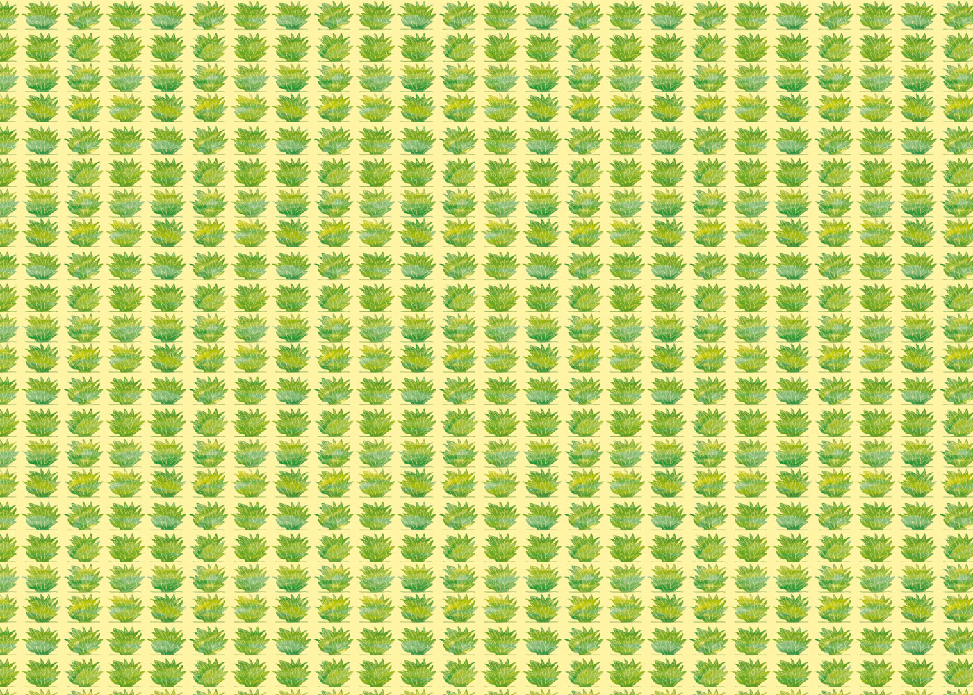 Succulent Symphony - Yellow Green - Sample