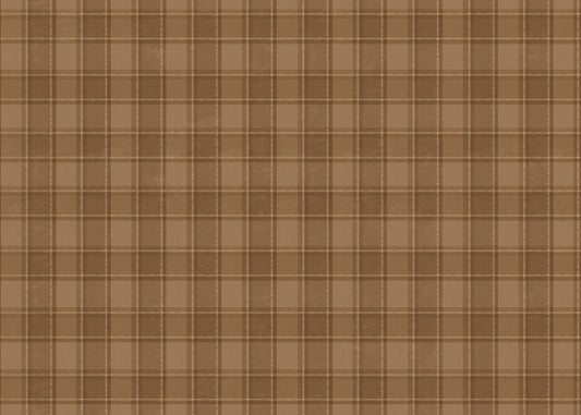 Phat Plaid Mural - Muir Cafe - Sample