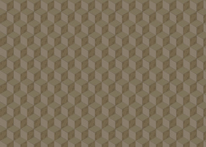 Roman Cubic - Raw Umber