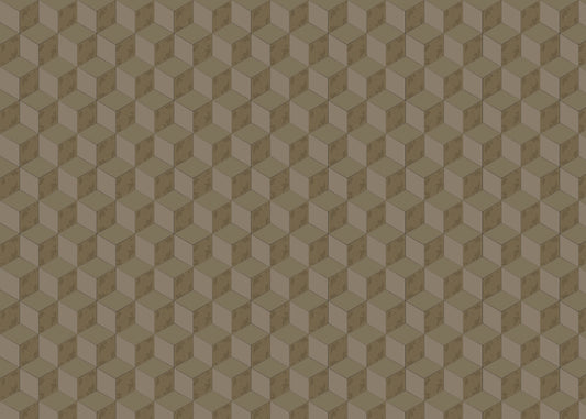 Roman Cubic - Raw Umber