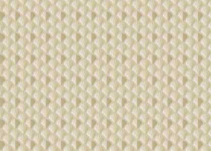 Shells - Sand