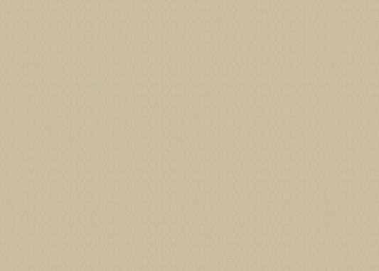 Warp and Weft - Sisal - Sample