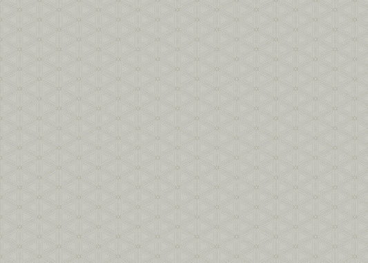 Hexagon World - Parigi Giornali - Sample