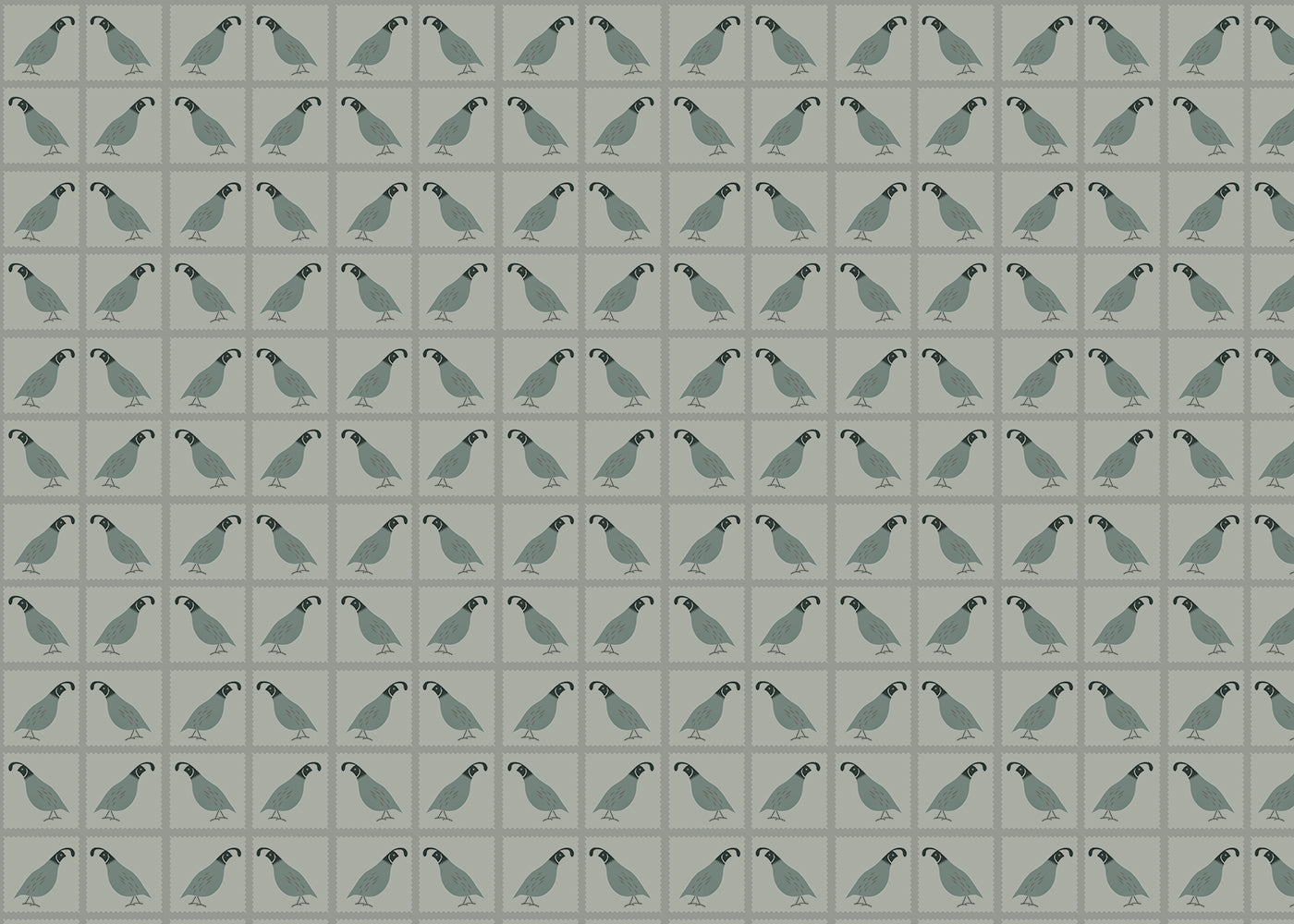 Quails - Slate Gray