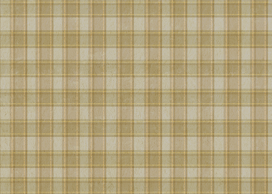 Phat Plaid 004 (taupe with peach lines)