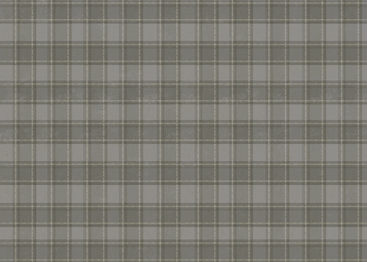 Phat Plaid 005 (gray with ivory lines)