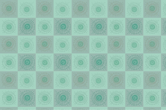 Rays & Circles B - Aqua Gray Checks - Sample
