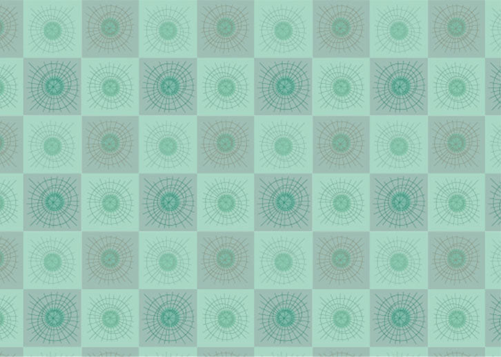 Rays & Circles B - Aqua Gray checks