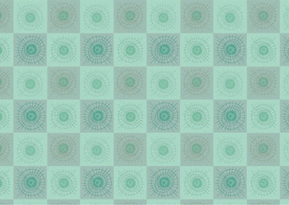 Rays & Circles B - Aqua Gray checks