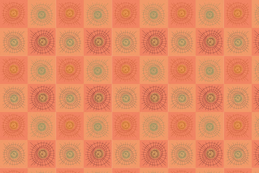 Rays & Circles D - Madras Checks - Sample