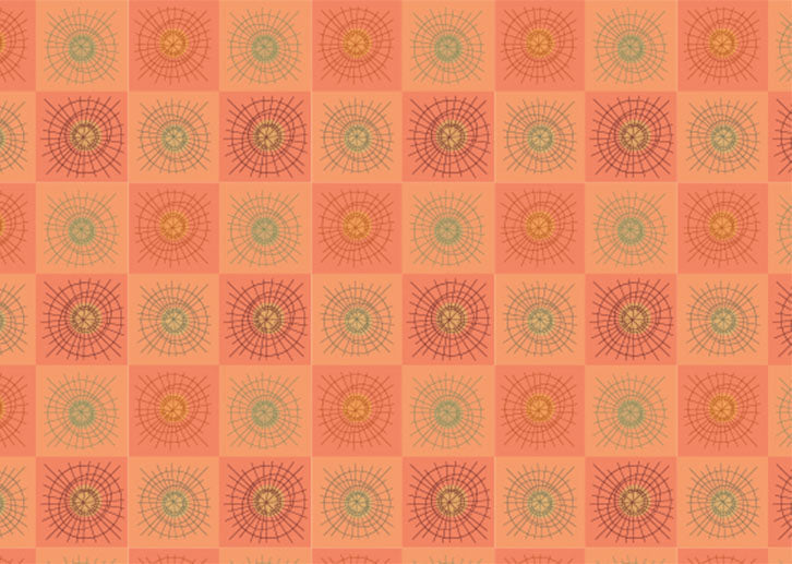 Rays & Circles D - Madras checks