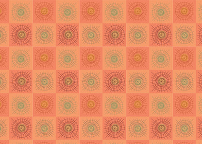 Rays & Circles D - Madras checks