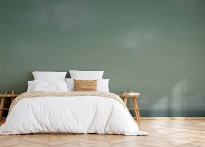 Sky Suite Mural - Pale Wash